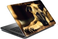 meSleep Dog 70-684 Vinyl Laptop Decal 15.6   Laptop Accessories  (meSleep)