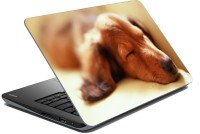 meSleep Dog 70-701 Vinyl Laptop Decal 15.6   Laptop Accessories  (meSleep)