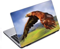 ezyPRNT High Flying Eagle (14 to 14.9 inch) Vinyl Laptop Decal 14   Laptop Accessories  (ezyPRNT)