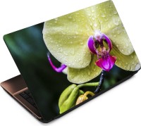 View Finest Flower FL07 Vinyl Laptop Decal 15.6 Laptop Accessories Price Online(Finest)