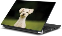 ezyPRNT Cute white Puppy Pet Animal (15 to 15.6 inch) Vinyl Laptop Decal 15   Laptop Accessories  (ezyPRNT)