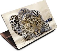 Anweshas Leopard LP070 Vinyl Laptop Decal 15.6   Laptop Accessories  (Anweshas)