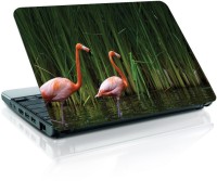Shopmania Red Swan Vinyl Laptop Decal 15.6   Laptop Accessories  (Shopmania)