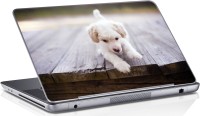 Sai Enterprises cute dogi vinyl Laptop Decal 15.6   Laptop Accessories  (Sai Enterprises)