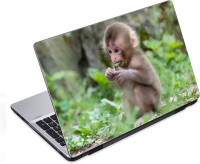 ezyPRNT Hungry Monkey (14 to 14.9 inch) Vinyl Laptop Decal 14   Laptop Accessories  (ezyPRNT)