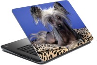 meSleep Dog LS-57-169 Vinyl Laptop Decal 15.6   Laptop Accessories  (meSleep)