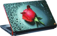 DSPBAZAR DSP BAZAR 10872 Vinyl Laptop Decal 15.6   Laptop Accessories  (DSPBAZAR)