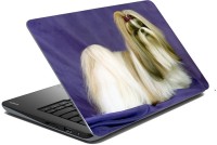 meSleep Dog LS-57-143 Vinyl Laptop Decal 15.6   Laptop Accessories  (meSleep)
