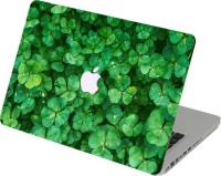 Swagsutra Swagsutra Leaf Drops Laptop Skin/Decal For MacBook Pro 13 With Retina Display Vinyl Laptop Decal 13   Laptop Accessories  (Swagsutra)