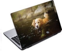 ezyPRNT Dog Swimming Pet Animal (14 to 14.9 inch) Vinyl Laptop Decal 14   Laptop Accessories  (ezyPRNT)