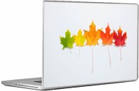 Swagsutra Leafs Laptop Skin/Decal For 15.6 Inch Laptop Vinyl Laptop Decal 15   Laptop Accessories  (Swagsutra)