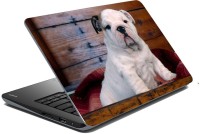 meSleep Dog LS-57-135 Vinyl Laptop Decal 15.6   Laptop Accessories  (meSleep)