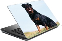meSleep Dog LS-57-011 Vinyl Laptop Decal 15.6   Laptop Accessories  (meSleep)