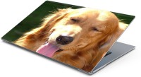 View Lovely Collection Cutiee Dog Vinyl Laptop Decal 15.6 Laptop Accessories Price Online(Lovely Collection)