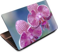 Finest Flower FL14 Vinyl Laptop Decal 15.6   Laptop Accessories  (Finest)