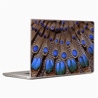 Theskinmantra Peacock Feather Laptop Decal 14.1   Laptop Accessories  (Theskinmantra)