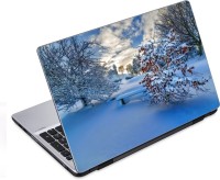 ezyPRNT White and Frozen Nature (14 to 14.9 inch) Vinyl Laptop Decal 14   Laptop Accessories  (ezyPRNT)