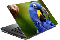 meSleep Parrot 70-402 Vinyl Laptop Decal 15.6   Laptop Accessories  (meSleep)