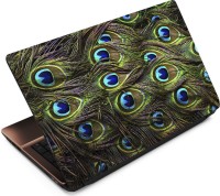 Anweshas Peacock Feathers Vinyl Laptop Decal 15.6   Laptop Accessories  (Anweshas)