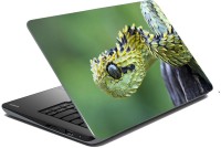 meSleep Wild Life 70-074 Vinyl Laptop Decal 15.6   Laptop Accessories  (meSleep)