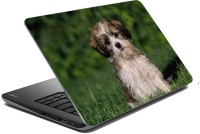 meSleep Dog LS-57-193 Vinyl Laptop Decal 15.6   Laptop Accessories  (meSleep)