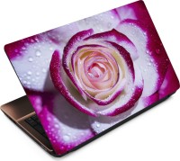 View Finest Flower FL29 Vinyl Laptop Decal 15.6 Laptop Accessories Price Online(Finest)