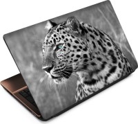 View Anweshas Leopard LP005 Vinyl Laptop Decal 15.6 Laptop Accessories Price Online(Anweshas)