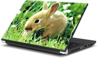 ezyPRNT The Mouse (15 to 15.6 inch) Vinyl Laptop Decal 15   Laptop Accessories  (ezyPRNT)