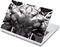ezyPRNT Muscular Back View Body Builder (13 to 13.9 inch) Vinyl Laptop Decal 13   Laptop Accessories  (ezyPRNT)