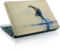 ezyPRNT Kingfishers (13 inch) Vinyl Laptop Decal 13   Laptop Accessories  (ezyPRNT)