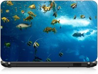 VI Collections UNDER WATER SHOT pvc Laptop Decal 15.6   Laptop Accessories  (VI Collections)