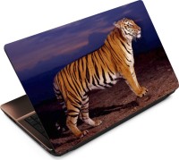 Anweshas Tiger T073 Vinyl Laptop Decal 15.6   Laptop Accessories  (Anweshas)