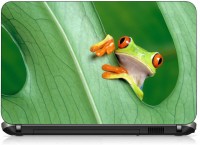VI Collections LEAF IN FROG pvc Laptop Decal 15.6   Laptop Accessories  (VI Collections)
