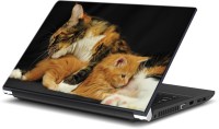 ezyPRNT Cute Kittens Pet Animal (15 to 15.6 inch) Vinyl Laptop Decal 15   Laptop Accessories  (ezyPRNT)