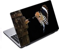 ezyPRNT Bird Feed Snapshot (14 to 14.9 inch) Vinyl Laptop Decal 14   Laptop Accessories  (ezyPRNT)