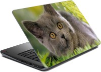 meSleep Cat LS-24-023 Vinyl Laptop Decal 15.6   Laptop Accessories  (meSleep)