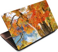 Finest Autumn ATM020 Vinyl Laptop Decal 15.6   Laptop Accessories  (Finest)