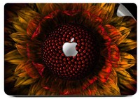 Swagsutra Sunflower Seeds Vinyl Laptop Decal 15   Laptop Accessories  (Swagsutra)