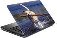 meSleep Dog LS-57-099 Vinyl Laptop Decal 15.6   Laptop Accessories  (meSleep)