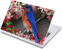 ezyPRNT Humming Bird (13 to 13.9 inch) Vinyl Laptop Decal 13   Laptop Accessories  (ezyPRNT)