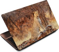 Anweshas Leopard LP031 Vinyl Laptop Decal 15.6   Laptop Accessories  (Anweshas)