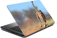 meSleep Tiger 70-337 Vinyl Laptop Decal 15.6   Laptop Accessories  (meSleep)