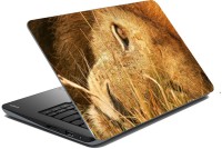 meSleep Lion 70-158 Vinyl Laptop Decal 15.6   Laptop Accessories  (meSleep)