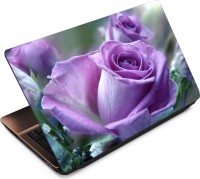 View Finest Flower FL06 Vinyl Laptop Decal 15.6 Laptop Accessories Price Online(Finest)