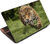 Anweshas Leopard LP048 Vinyl Laptop Decal 15.6   Laptop Accessories  (Anweshas)
