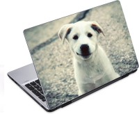 ezyPRNT Just Say Awwoo Pet Animal (14 to 14.9 inch) Vinyl Laptop Decal 14   Laptop Accessories  (ezyPRNT)
