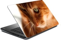 meSleep Cat 70-651 Vinyl Laptop Decal 15.6   Laptop Accessories  (meSleep)