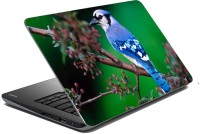 meSleep Wild Life 70-426 Vinyl Laptop Decal 15.6   Laptop Accessories  (meSleep)