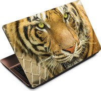 Anweshas Tiger T097 Vinyl Laptop Decal 15.6   Laptop Accessories  (Anweshas)