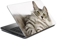 meSleep Cat 70-538 Vinyl Laptop Decal 15.6   Laptop Accessories  (meSleep)